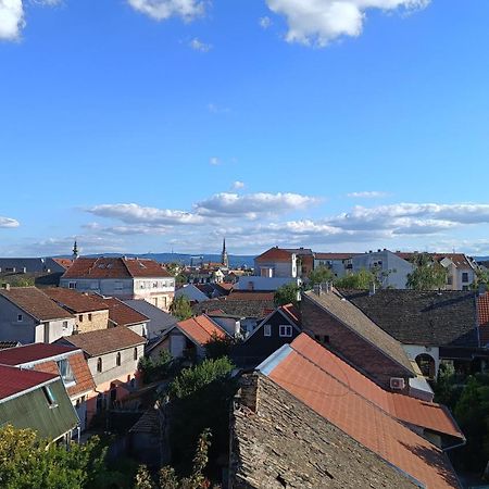 Amarilis Apartment Нови Сад Екстериор снимка